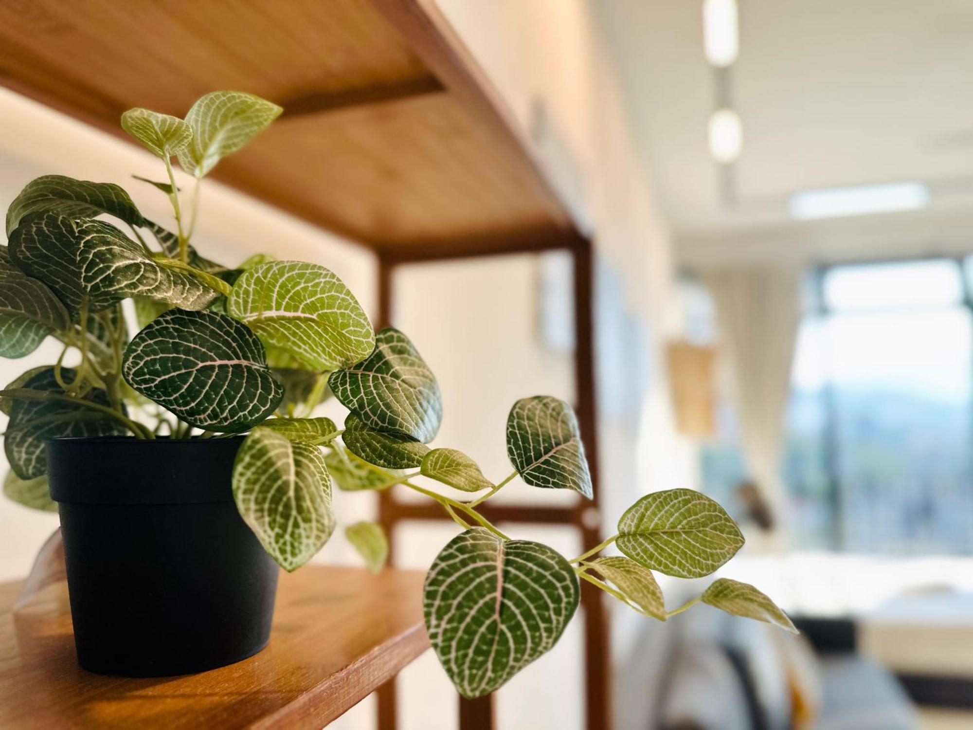 New Georgetown Instagramable 2Br Homestay For 10Pax 无敌美景两房民宿 Beacon Executive Suite Buitenkant foto